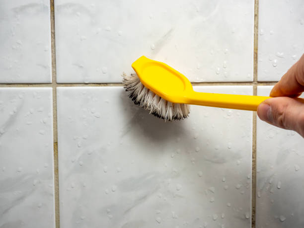 Best Mold Removal Company Near Me  in Bakersfield Country Clu, CA