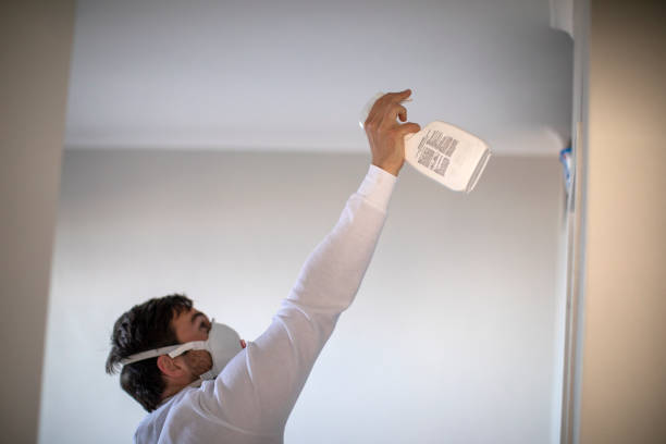 Best Mold Remediation  in Bakersfield Country Clu, CA