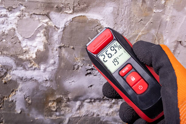 Best Mold Damage Repair  in Bakersfield Country Clu, CA