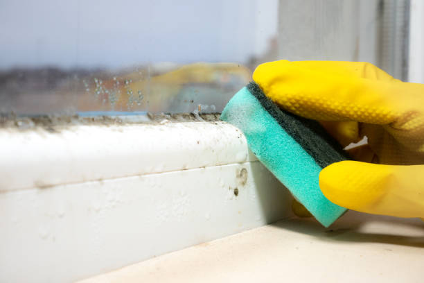 Crawl Space Mold Removal in Bakersfield Country Clu, CA