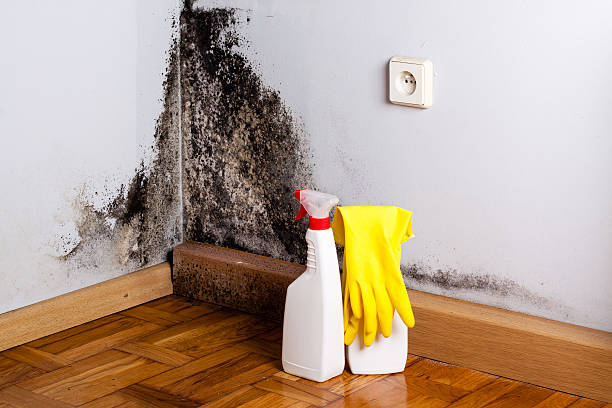 Bakersfield Country Clu, CA Mold Removal Company