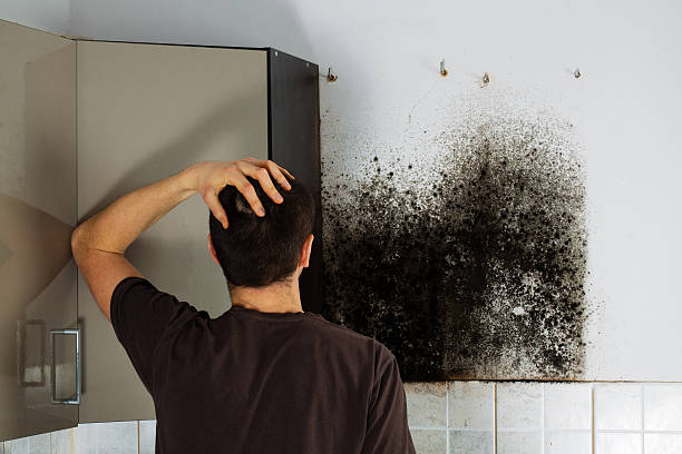 Best Mold Testing  in Bakersfield Country Clu, CA